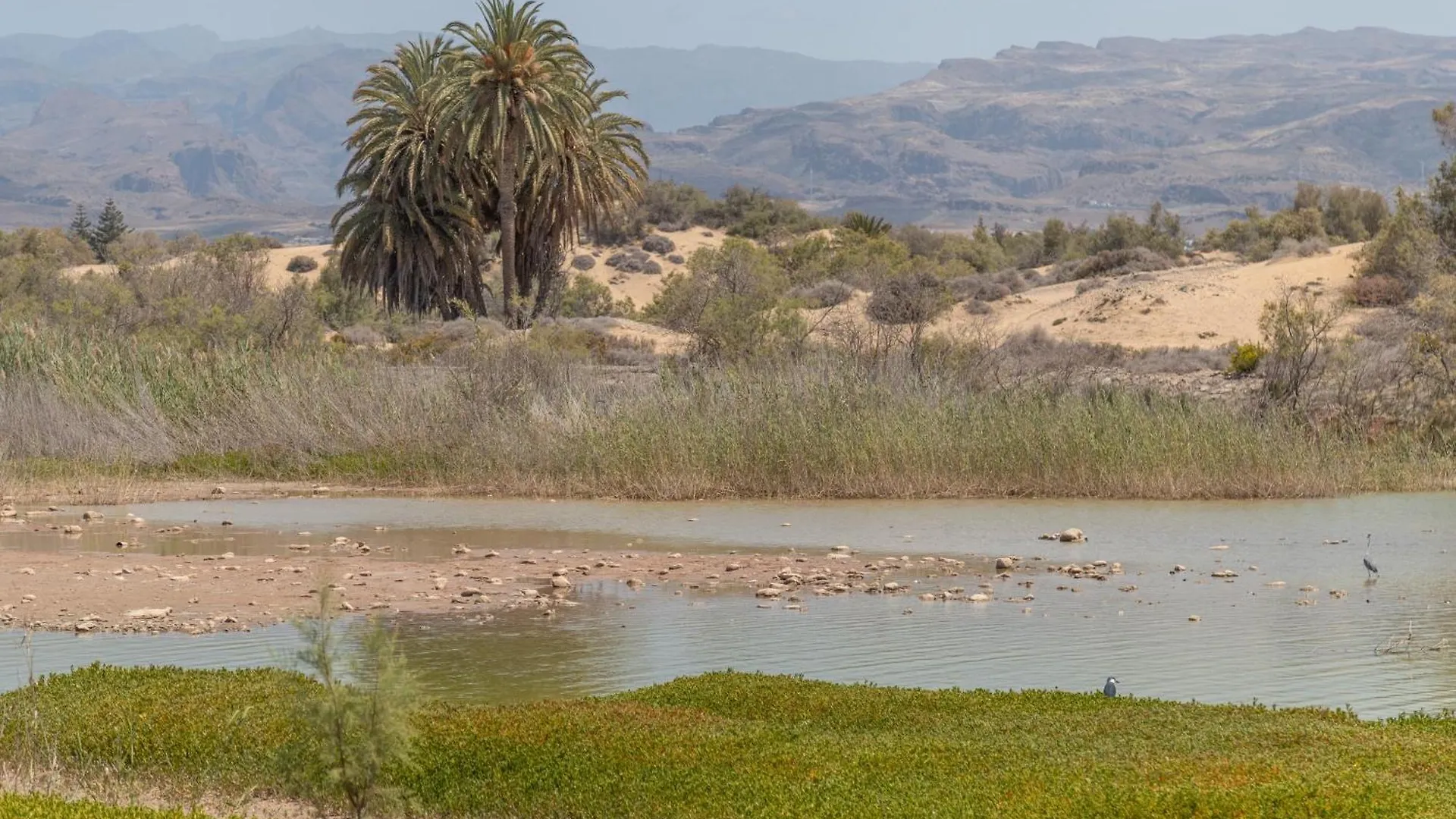 Διαμέρισμα Bungalow Parrales Maspalomas Ισπανία